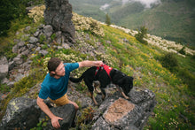 Load image into Gallery viewer, Flagline™ Dog Harness with Handle