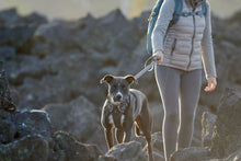 Load image into Gallery viewer, Front Range® Dog Harness