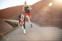 Load image into Gallery viewer, Front Range® Dog Harness
