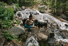 Load image into Gallery viewer, Front Range® Dog Harness

