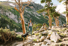 Load image into Gallery viewer, Front Range™ Dog Leash
